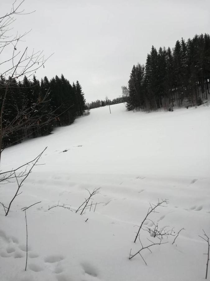 Chaloupka U Lisaka Villa Snezne  Dış mekan fotoğraf