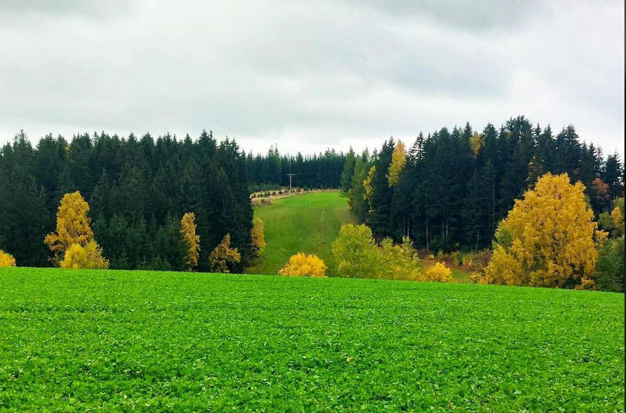 Chaloupka U Lisaka Villa Snezne  Dış mekan fotoğraf